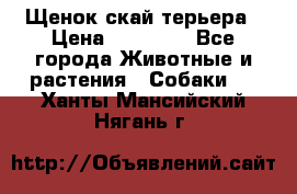 Щенок скай терьера › Цена ­ 20 000 - Все города Животные и растения » Собаки   . Ханты-Мансийский,Нягань г.